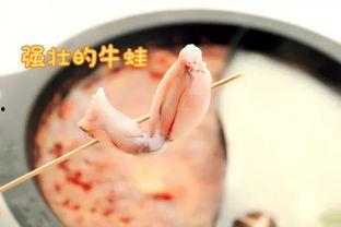 吃鸡皮肤爆料最新龙,揭秘最新吃鸡皮肤龙之奥秘